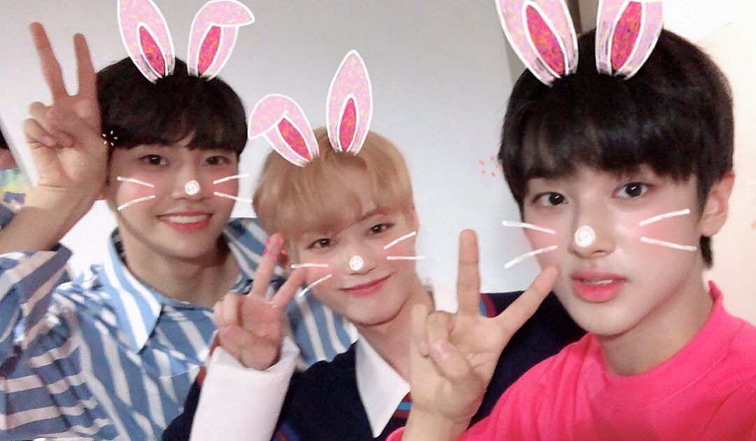 비어들 진짜 눈팅만 해? | 인스티즈