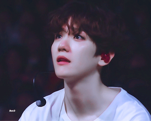 백현 팬덜아.. 나 이거 움짤 영상 너무너무 보고시푼데 어떻게 볼 수 이쒀.. | 인스티즈