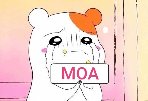 투바투 정규 컴백이라구.....? | 인스티즈