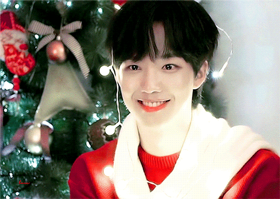 자기 최애가 돌판에서 유일하다 하는거 있어?? | 인스티즈