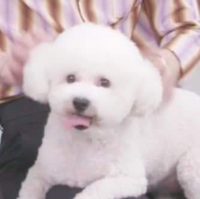 다들 들어와서 힐링하고 가 | 인스티즈