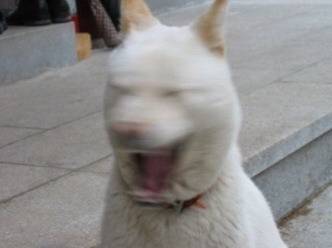 광태현 | 인스티즈