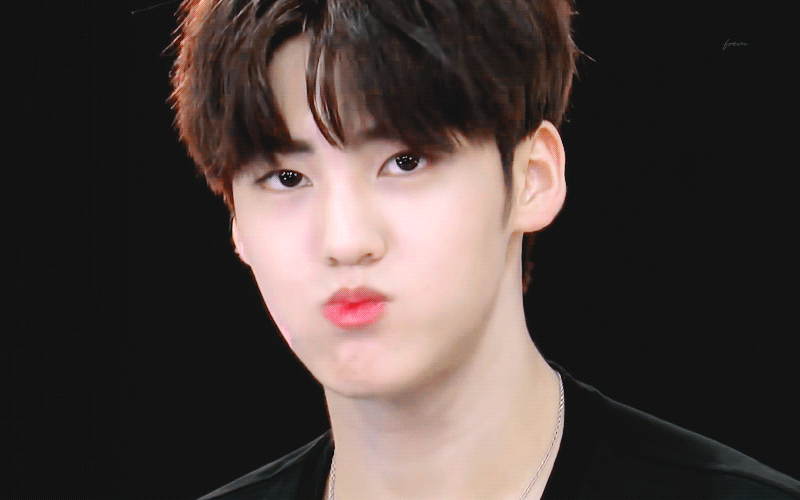 댕댕이 심기 | 인스티즈