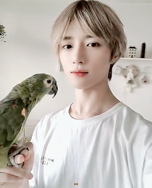 투바투 범규 앵무새 키우는거 귀여워.. | 인스티즈