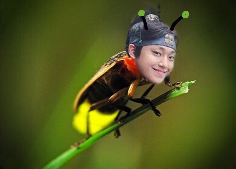 청명이 그리워진다 | 인스티즈