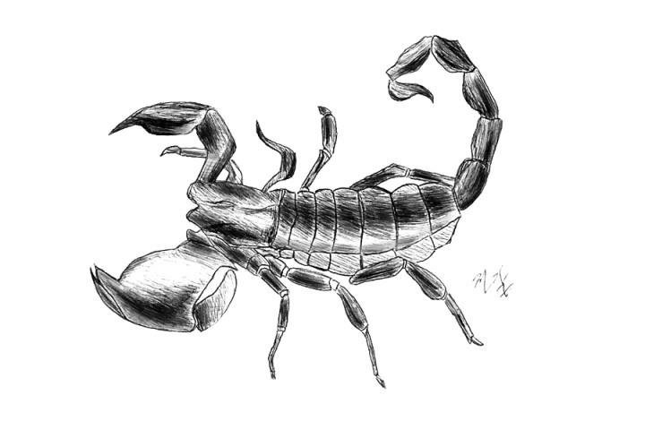 김우석 그림실력 | 인스티즈