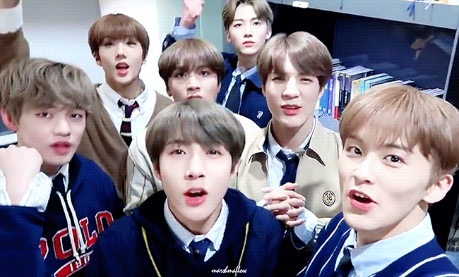 [잡담] 요-드림!!!!!!!!!!! | 인스티즈