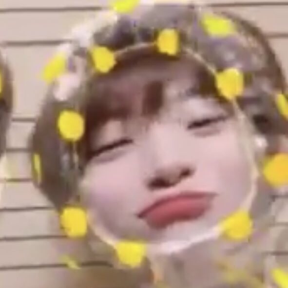 우리 정모는 그저 사람 너무 좋아하는 아기강아지일 뿐인데.... | 인스티즈