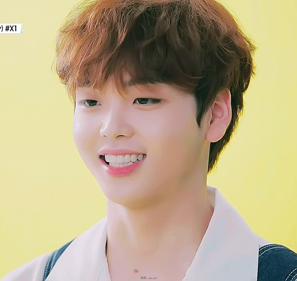 송형준 보고싶어서 허니콤보 시켰어 | 인스티즈