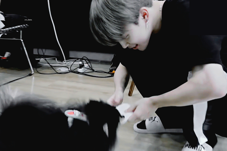 지민이랑 놀아주는 연탄이 귀여워 | 인스티즈