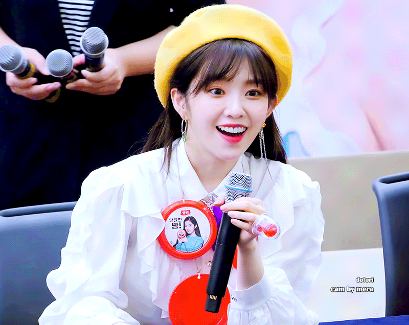 아이린이 인기 많고 코어팬도 많은 이유 | 인스티즈