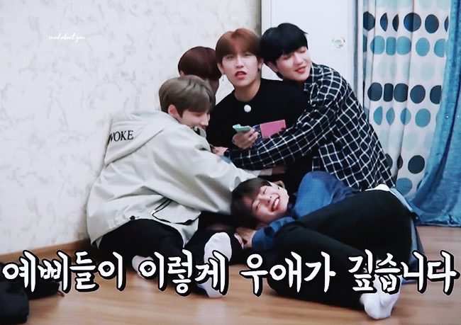 에이비식스 찐가족 아니냐곸ㅋㅋㅋ워크샵가서 조별로 밥먹고 조별로 방써야 하는데 | 인스티즈