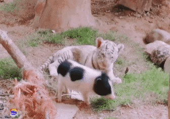 [잡담] 뉴이스트 ㅈㅇ 인성논란 마지막으로 끌올한다 | 인스티즈