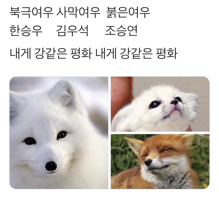 뜽요 붉은여우 하자💕 - 인스티즈(instiz) X1(엑스원) 카테고리