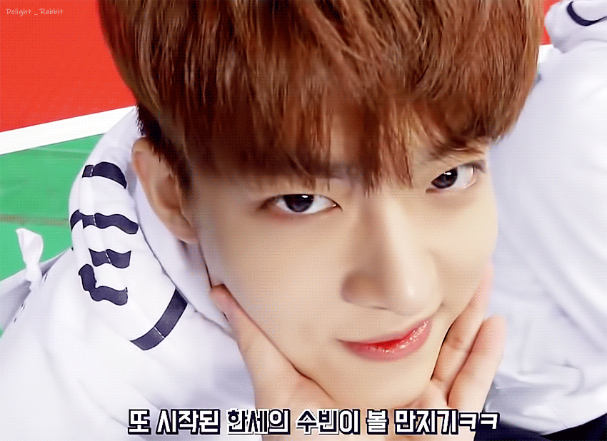 이 아이 고양이야 다람쥐야 | 인스티즈