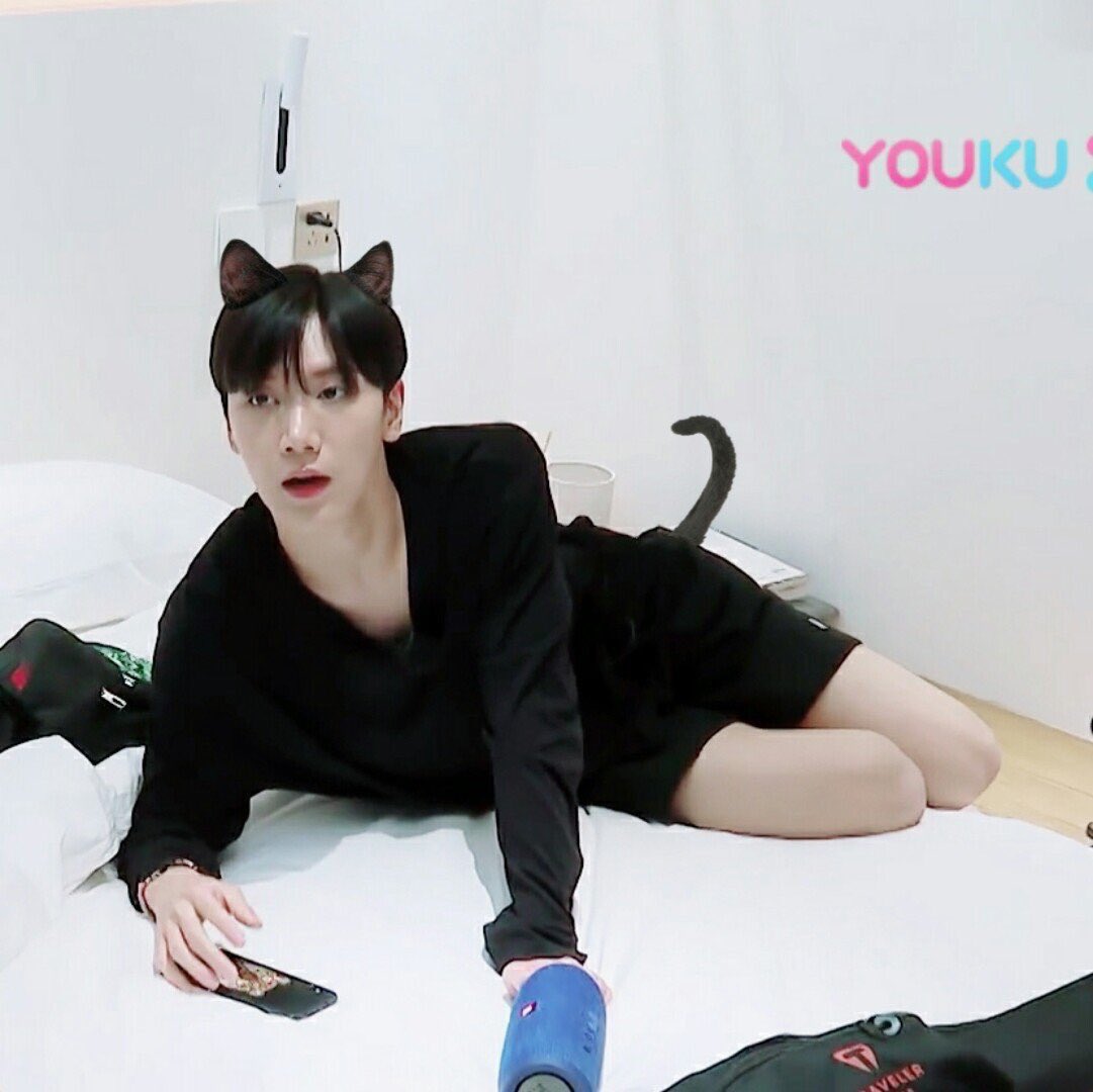 내 최애는 전생에 고양이가 아니었을까 | 인스티즈