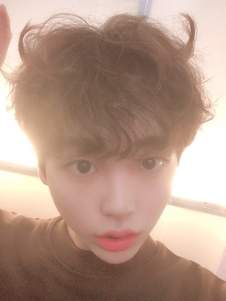 송형준 아기도깨비단은 소리소문없이 사라졌네 | 인스티즈