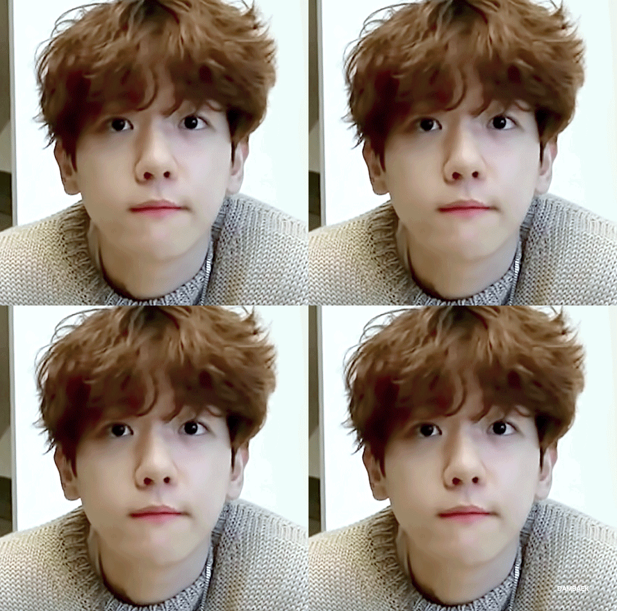 [잡담] 강아지 보고싶어 | 인스티즈