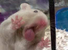 [OnAir] 김종인!!!!! 나랑도!!!!!! 새참 먹자!!!!!!!!! | 인스티즈