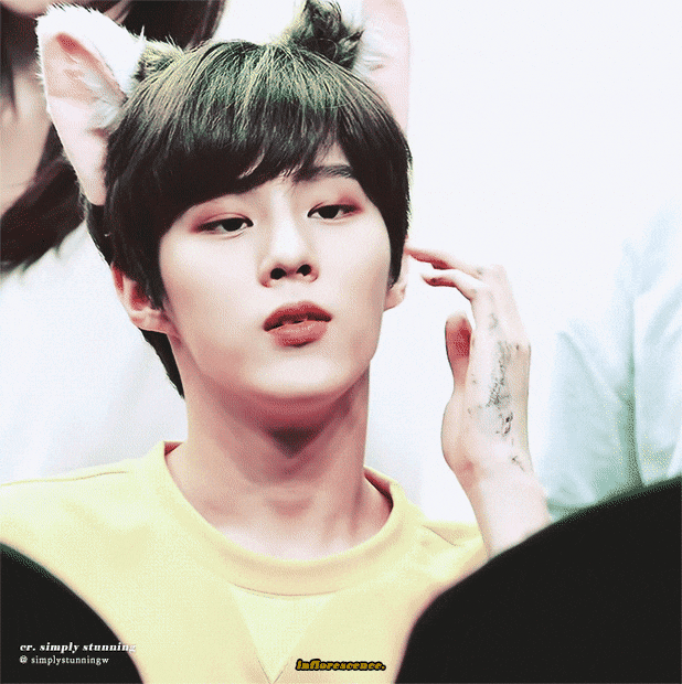 김우석 ㄹㅇ 고양이수인 같은 짤... | 인스티즈