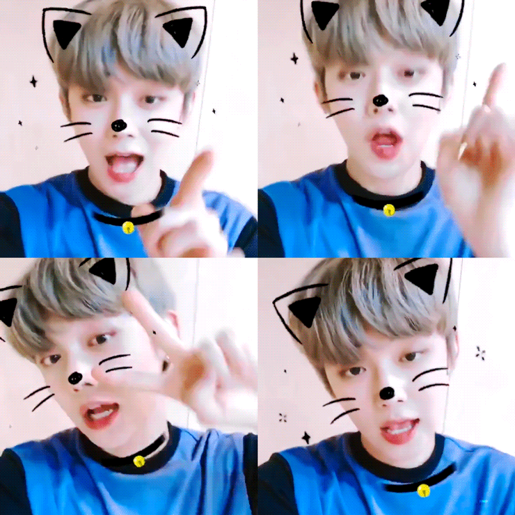 웅냥냥고양이 보고갈사람 | 인스티즈