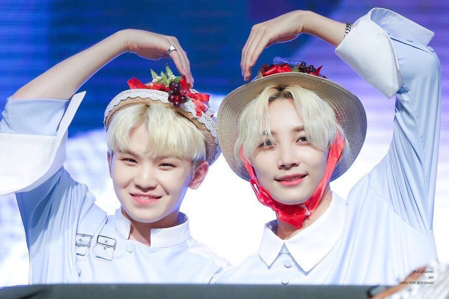 내가 좋아하는 세븐틴 관계성 | 인스티즈