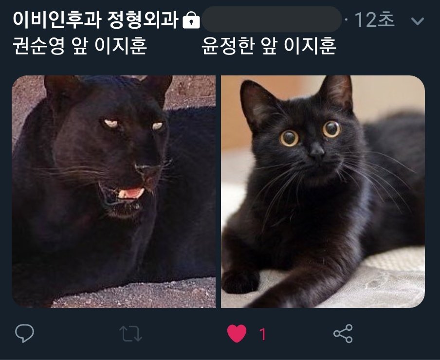 내가 좋아하는 세븐틴 관계성 | 인스티즈