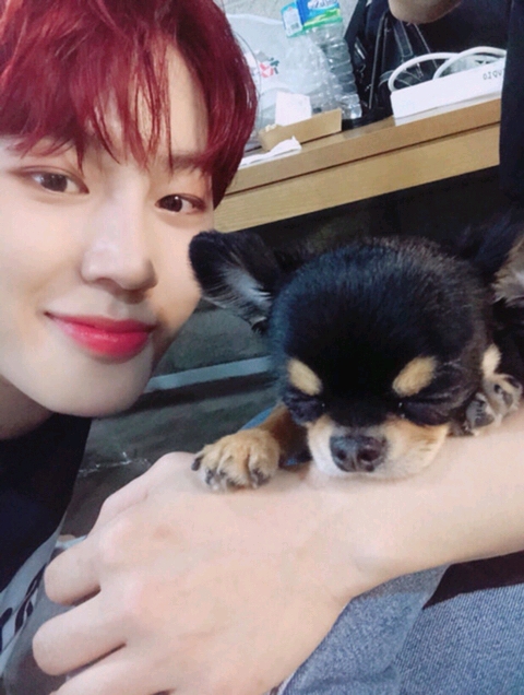 하성운 ❤️앞광대❤️ 잘 보이는 사진 있는 사람 | 인스티즈