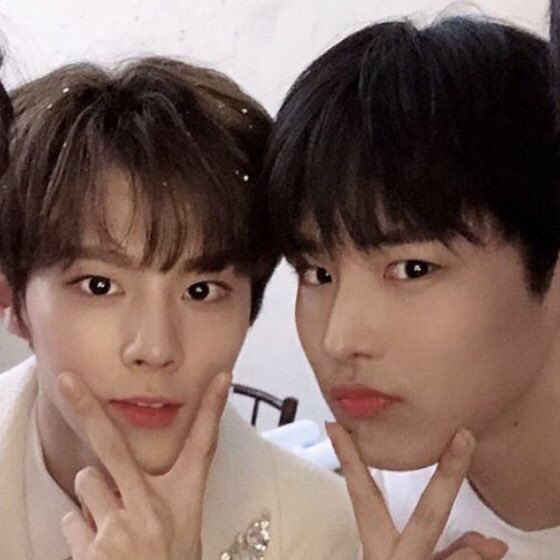 최병찬김우석 투픽이였던 사람있어? | 인스티즈