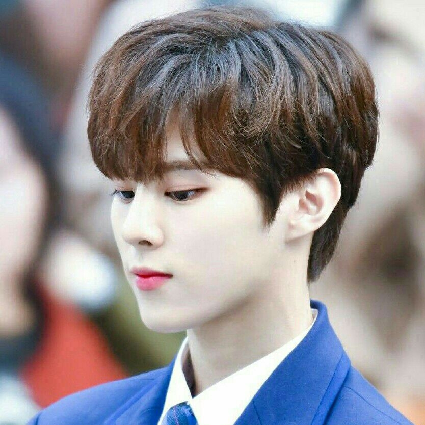 김우석이 애니 오란고교호스트부 멤버였다면 | 인스티즈