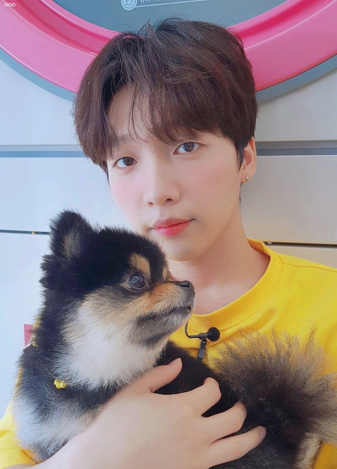 강아지 좋아해서 책도 읽어본게 너무 정세운이야... | 인스티즈