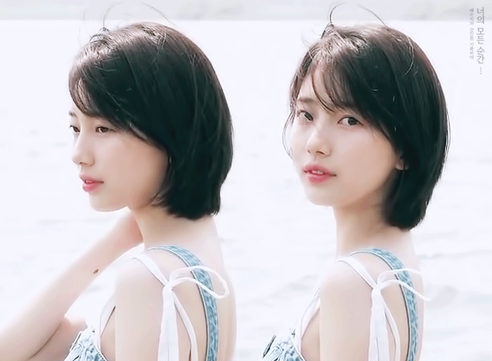 남돌최애 여돌최애 취향 소나무야? | 인스티즈