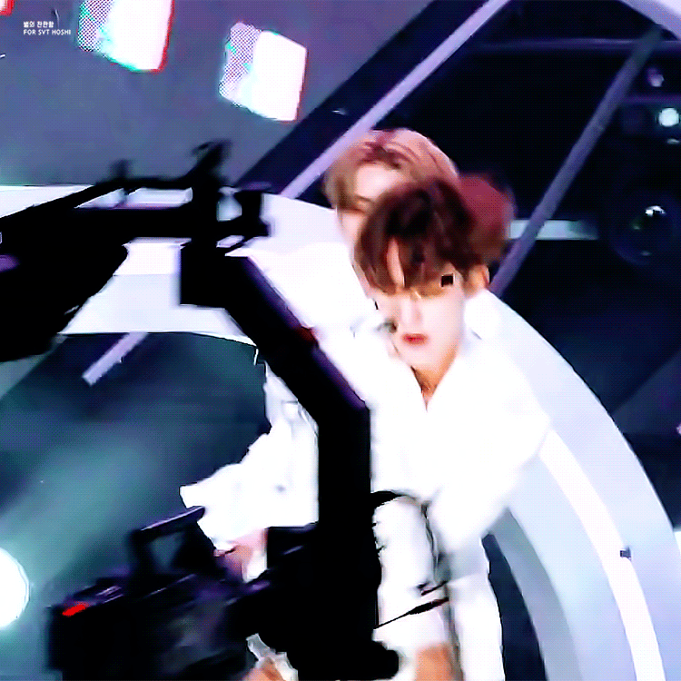 세븐틴 호시 호랑이 vs 햄찌 | 인스티즈