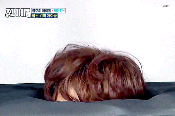 강아지치곤 사람같은 편 | 인스티즈