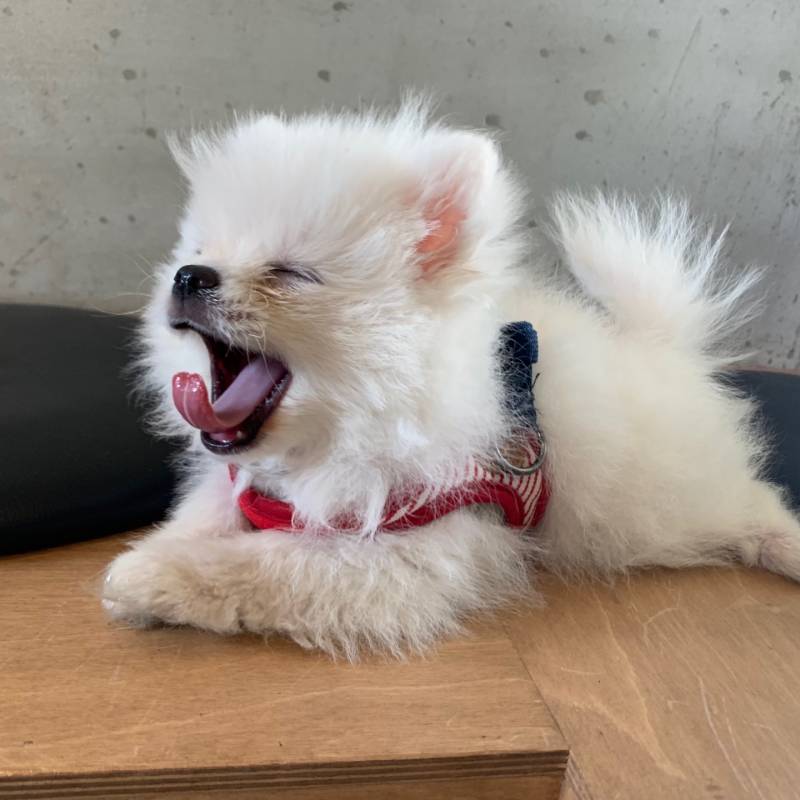 익들아 이거 안보면 후회함ㅠㅠㅠㅠㅜㅜㅜㅜㅜㅜㅜㅜㅜㅜㅜ | 인스티즈