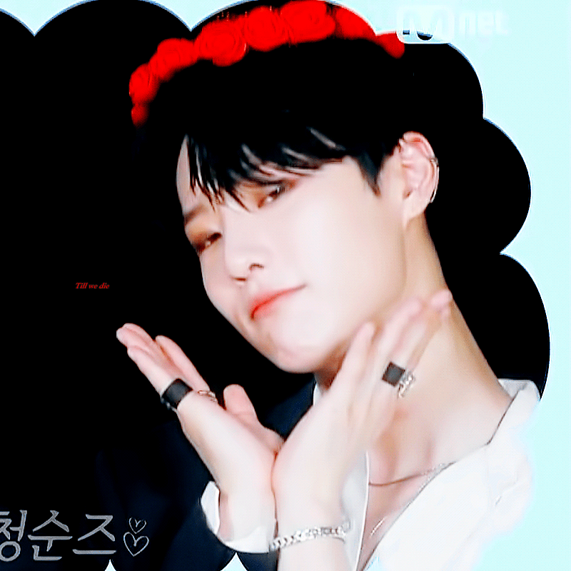 🦊조승연🦊 사진털이합니다 간잽중이거나 양아치상/여우상에 진심인 사람 들어오세요••• | 인스티즈