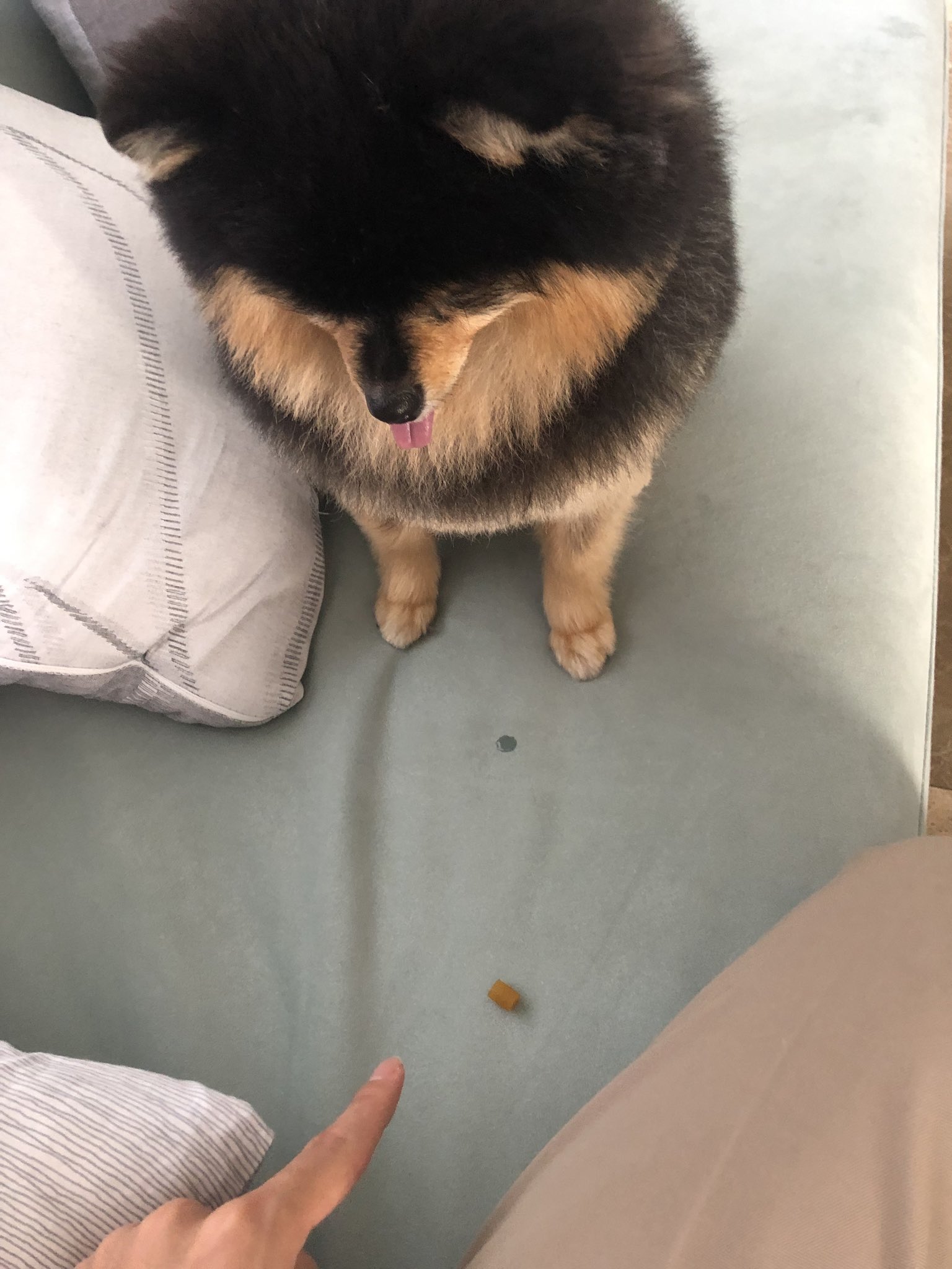 김연탄 사랑행 | 인스티즈