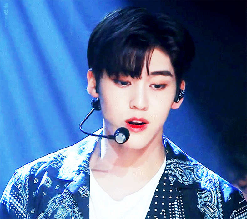 유빈이 팬들아 너네 진짜 유사견주만 하는거야? | 인스티즈