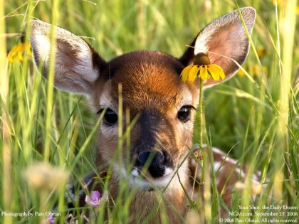 김우석 짤털한다 ㄹㅇ 레전드짤만 모음 | 인스티즈