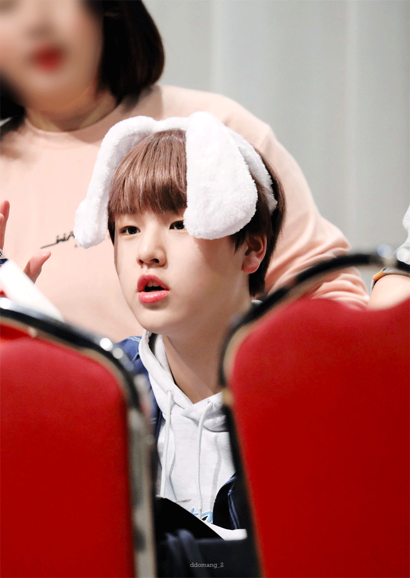 도현이는 커피 마실 수 있을깡 - 인스티즈(instiz) X1(엑스원) 카테고리