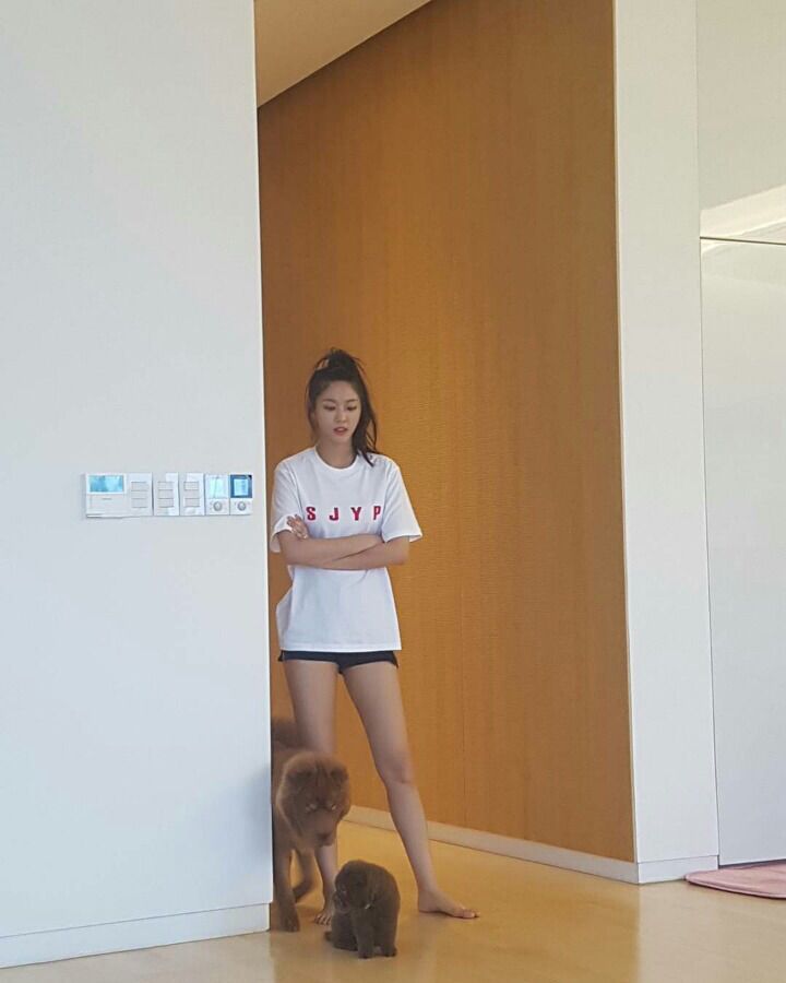 유아,사나,설현,장원영은 진짜 어디 방송에서 키 재보라고 해야돼 나 정말 믿을 수 없어 | 인스티즈