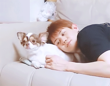 근데 양갱이가 어쩔땐 양요섭보다 더 양요섭같아 | 인스티즈