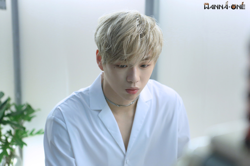 강다니엘 금발..ㅊㅅㅊㅅ | 인스티즈