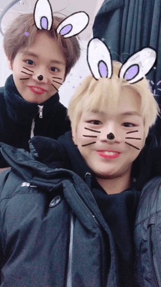 강다니엘 금발..ㅊㅅㅊㅅ | 인스티즈