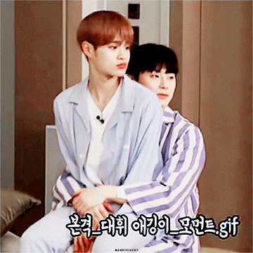 내 워너원 힐링조합 반짝즈ㅠ | 인스티즈