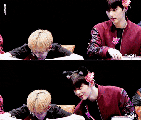 내 워너원 힐링조합 반짝즈ㅠ | 인스티즈