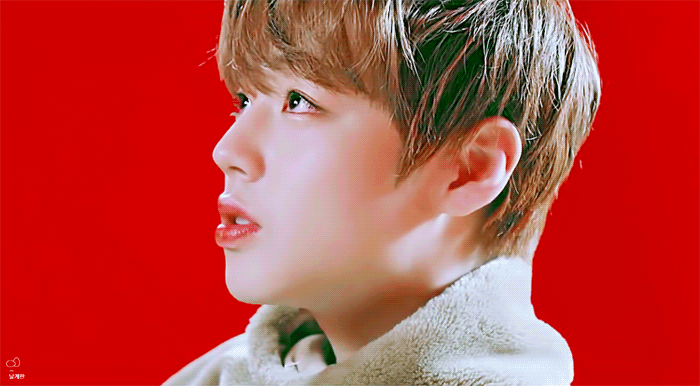 워너원 약속해요 뮤비 너무예뻐 (개인짤) | 인스티즈