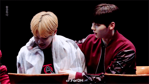 내 워너원 힐링조합 반짝즈ㅠ | 인스티즈