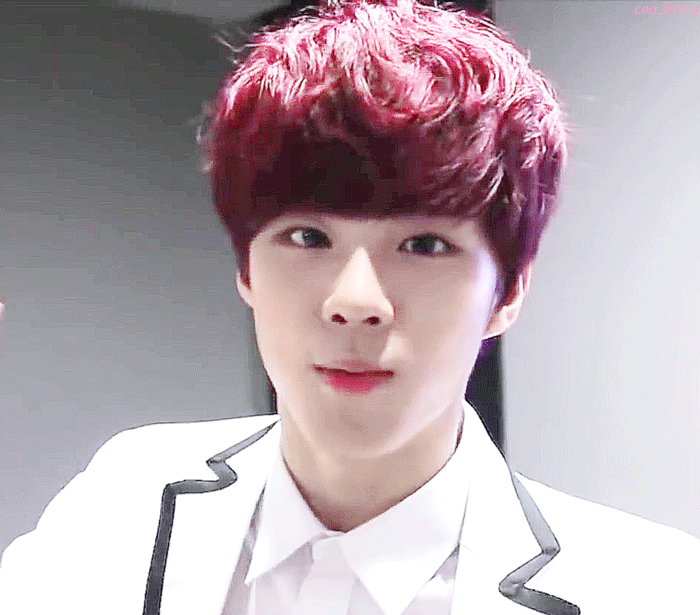 인간적으로 갓기 김우석 이거중에 하나만 키우게 해줘 | 인스티즈