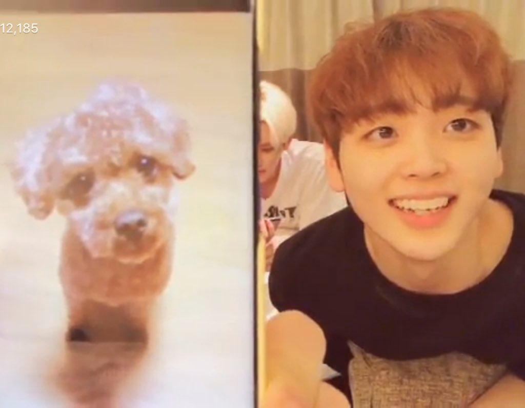 우와 이한결이 키우는 강아지 송형준 짤 유명했었잖아 | 인스티즈